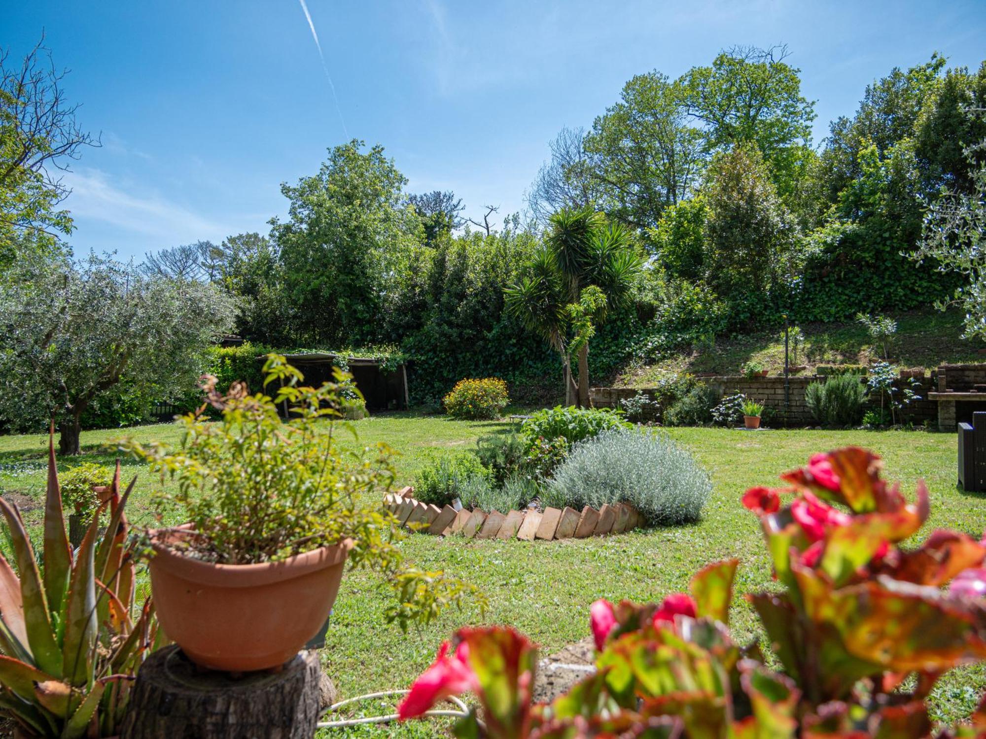 Il Lago Bracciano  Exterior photo